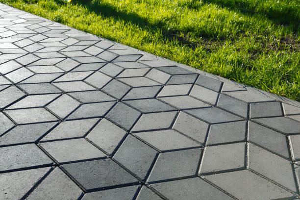 Best Driveway Pavers Contractor  in Schleswig, IA