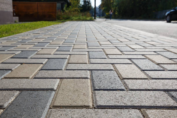 Best Residential Paver Driveway  in Schleswig, IA