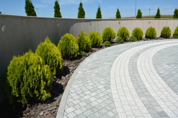 Best Decorative Driveway Pavers  in Schleswig, IA